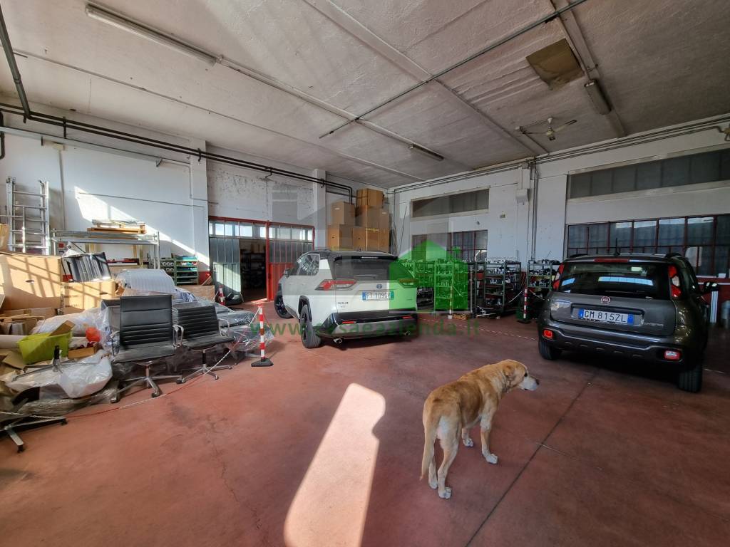 immagine annuncio 1 di 6