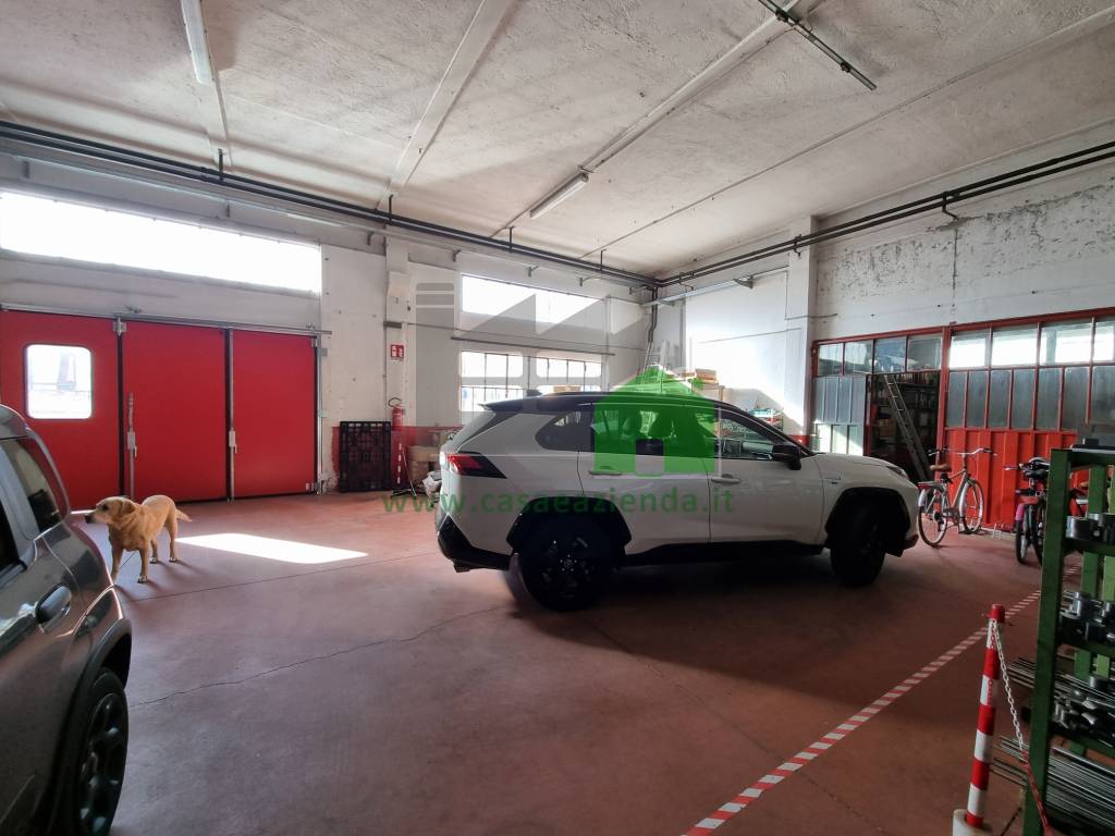 immagine annuncio 2 di 6