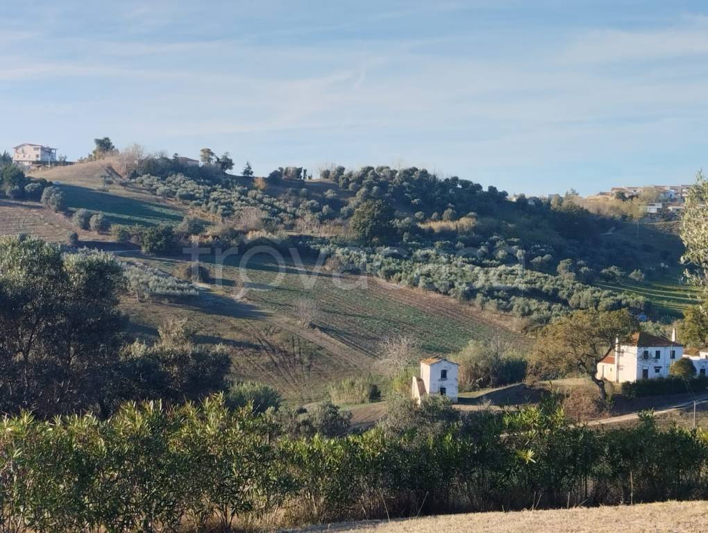 Terreno Agricolo in vendita a Spoltore via Valle Fonte