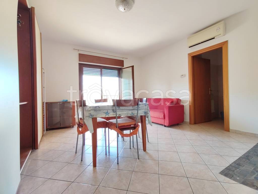 immagine annuncio 2 di 12