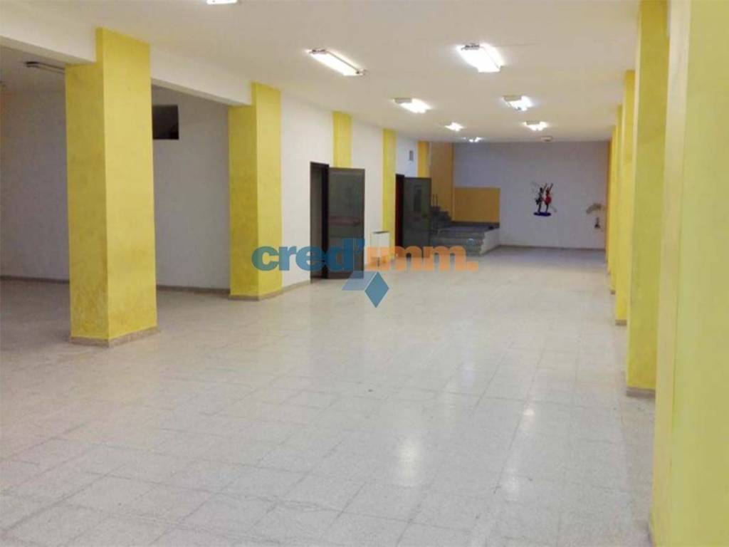 immagine annuncio 2 di 7