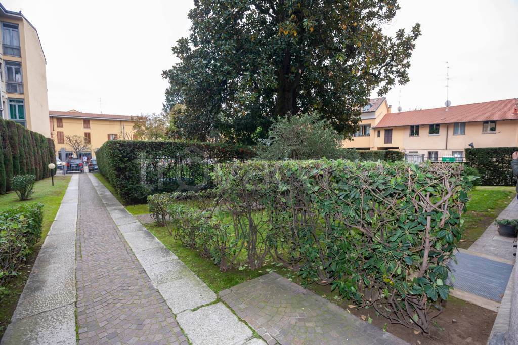immagine annuncio 2 di 14