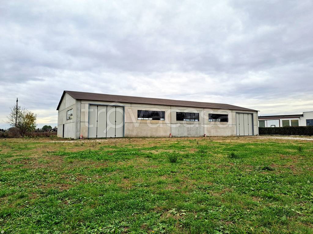 immagine annuncio 3 di 8