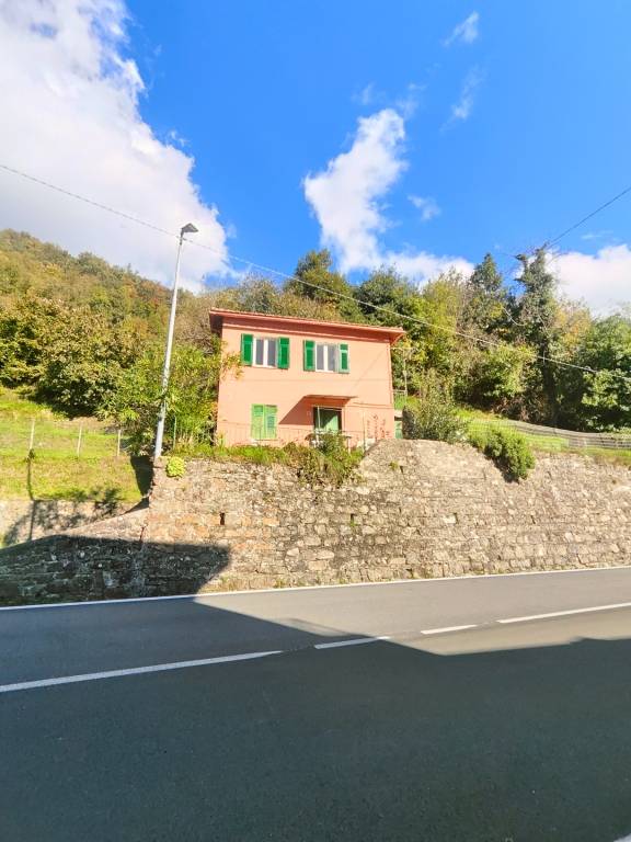 Casa Indipendente in vendita a Lumarzo frazione Boasi, 32