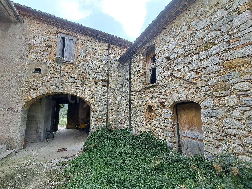 immagine annuncio 4 di 12