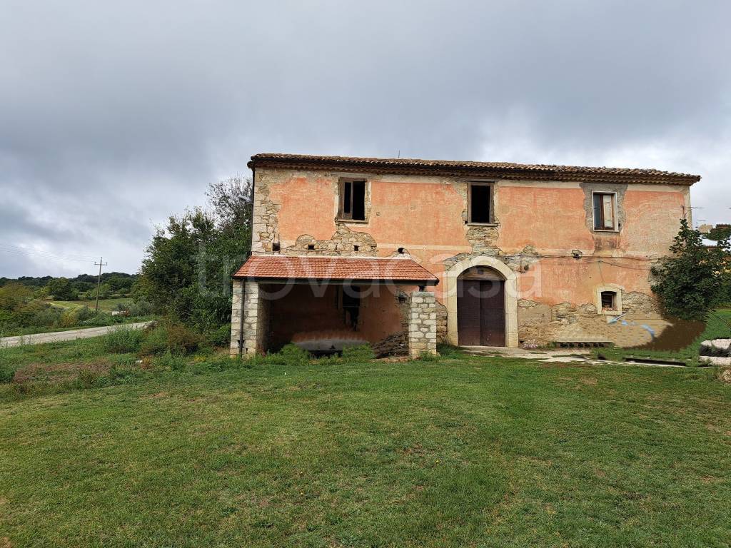 immagine annuncio 2 di 12