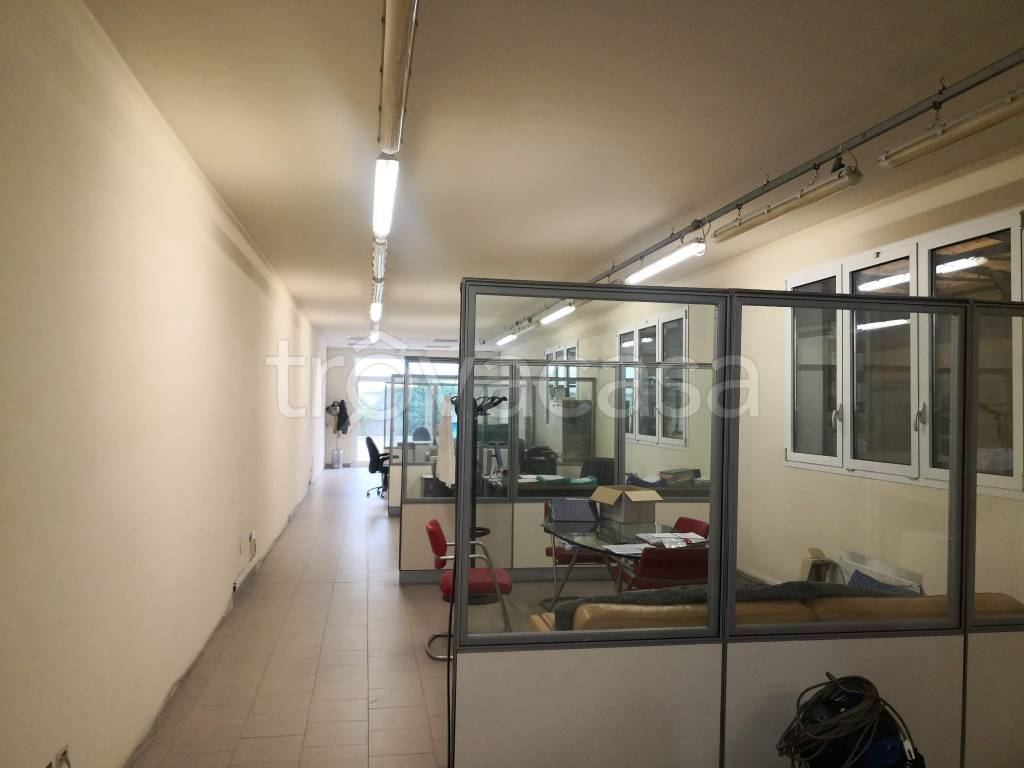 immagine annuncio 2 di 14