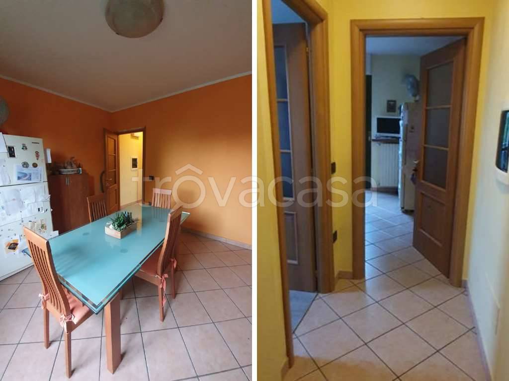 immagine annuncio 2 di 12