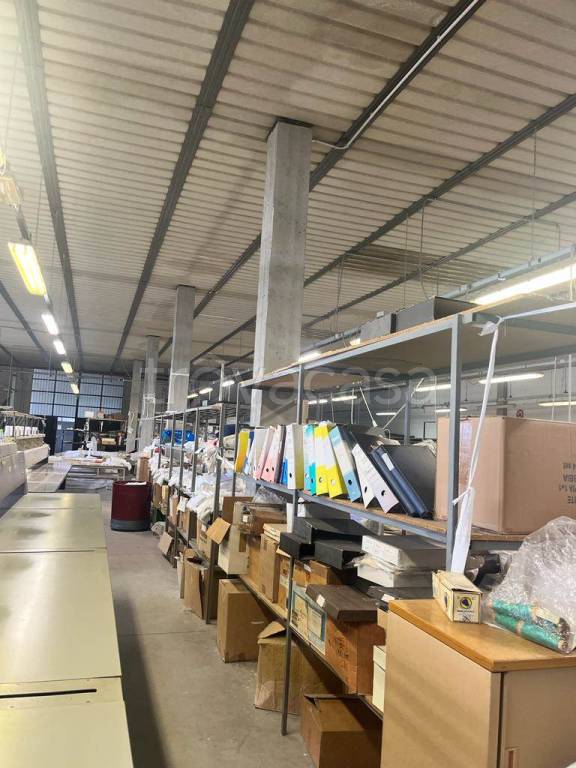 immagine annuncio 2 di 6