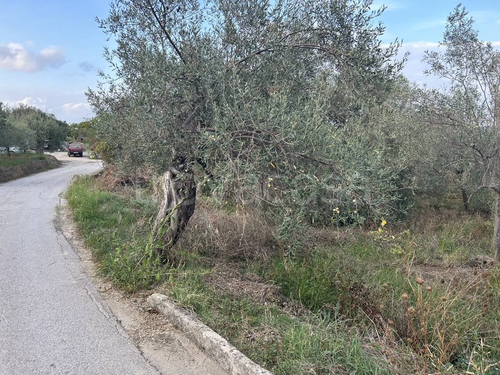 immagine annuncio 2 di 12