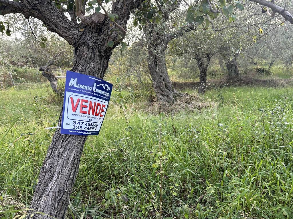 immagine annuncio 4 di 12