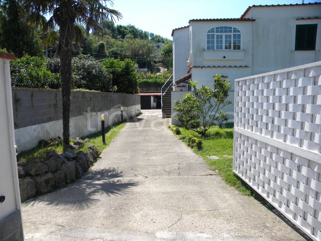 Villa in in vendita da privato a Barano d'Ischia via Vincenzo di Meglio, 11