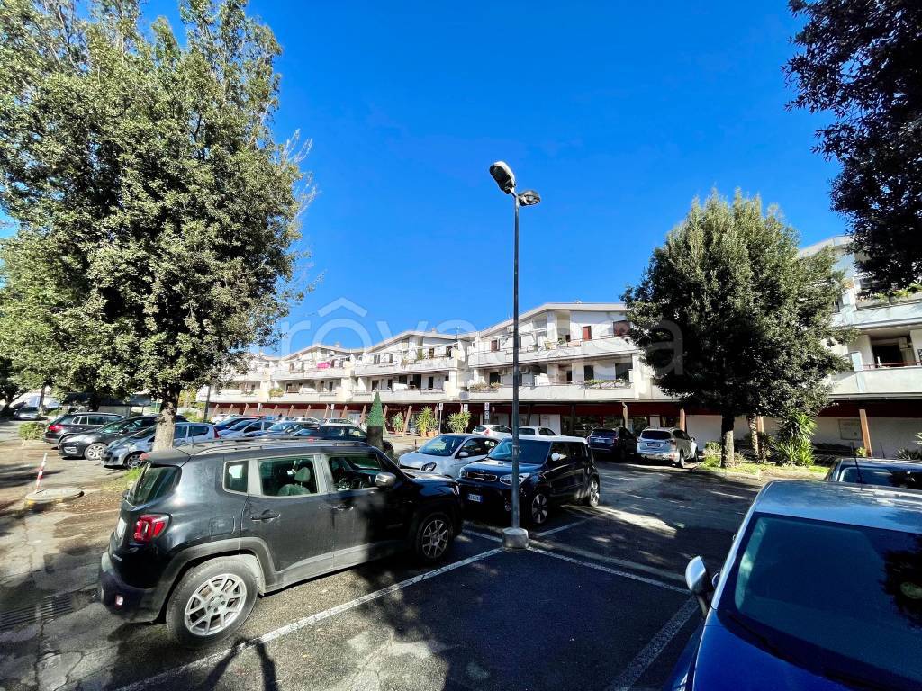 immagine annuncio 5 di 14