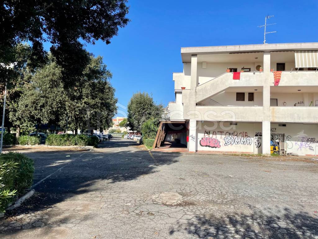 immagine annuncio 9 di 14
