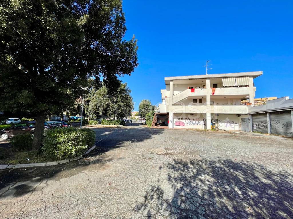 immagine annuncio 10 di 14