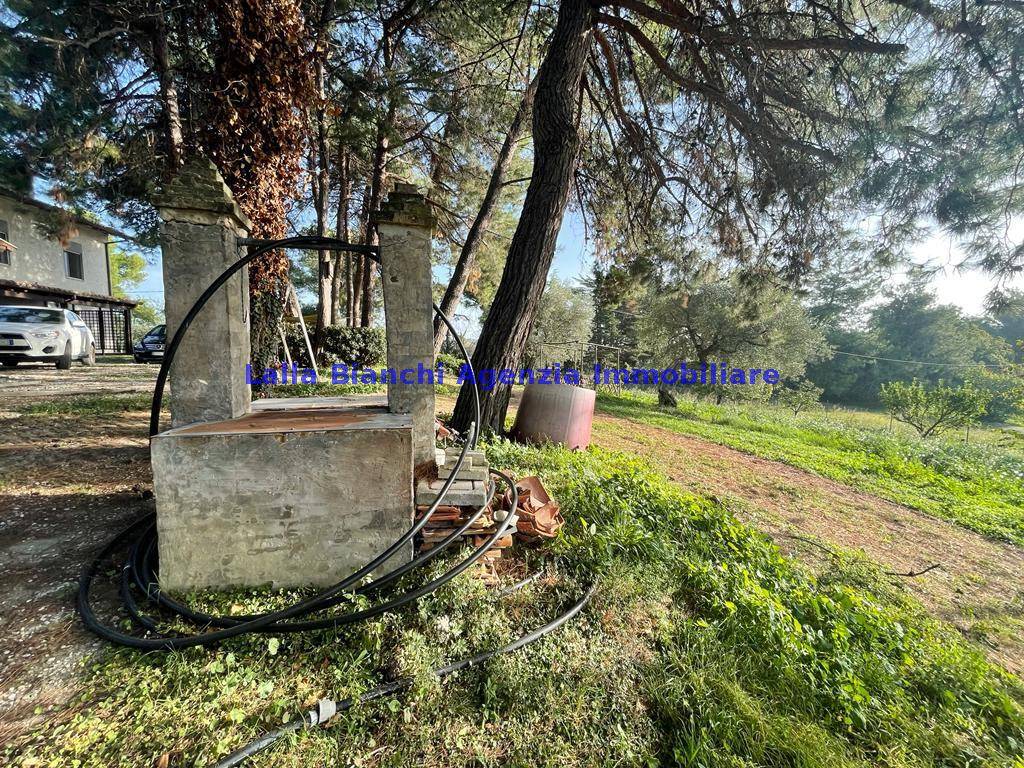 immagine annuncio 10 di 13