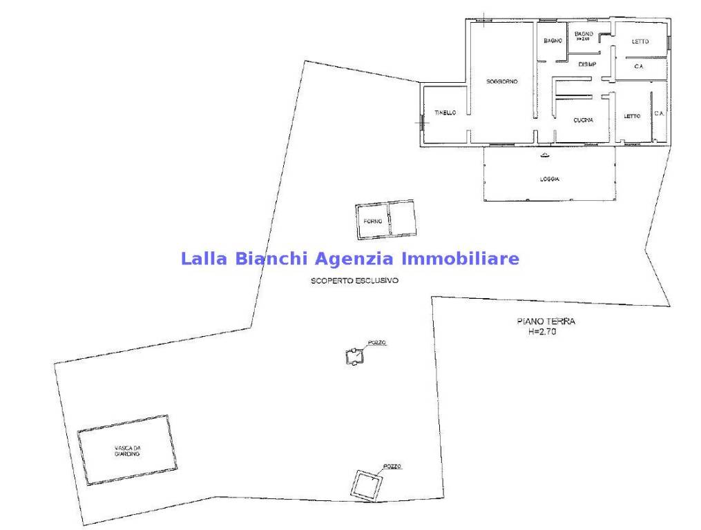 immagine annuncio 12 di 13