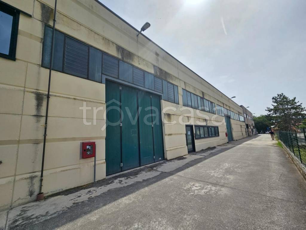 Laboratorio in vendita a Falconara Marittima via Del Consorzio, 2