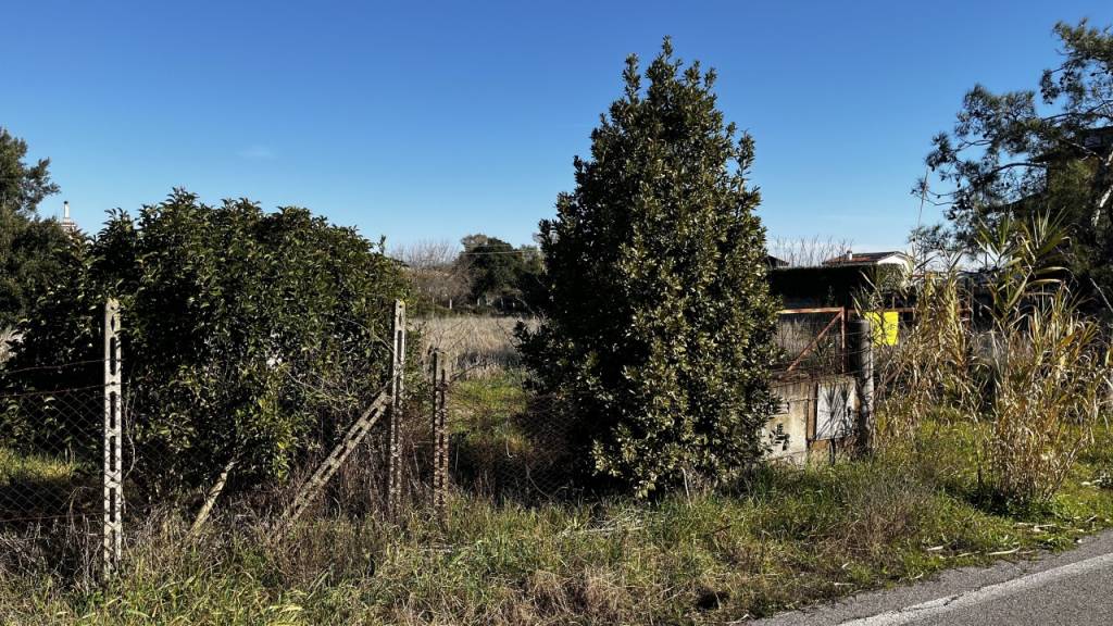 immagine annuncio 2 di 8