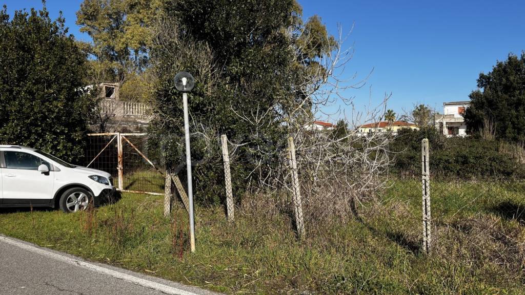 immagine annuncio 4 di 8