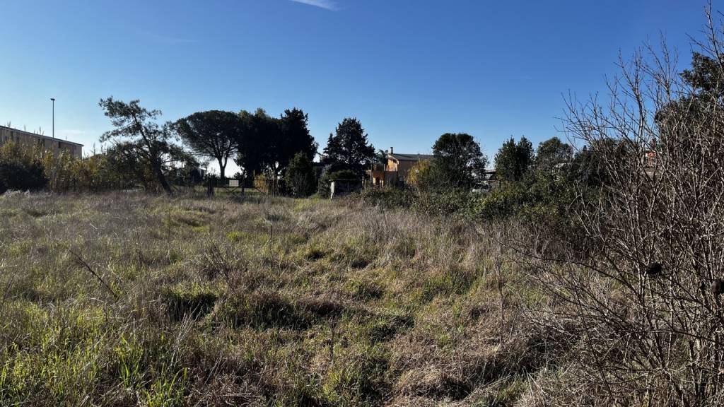 immagine annuncio 5 di 8