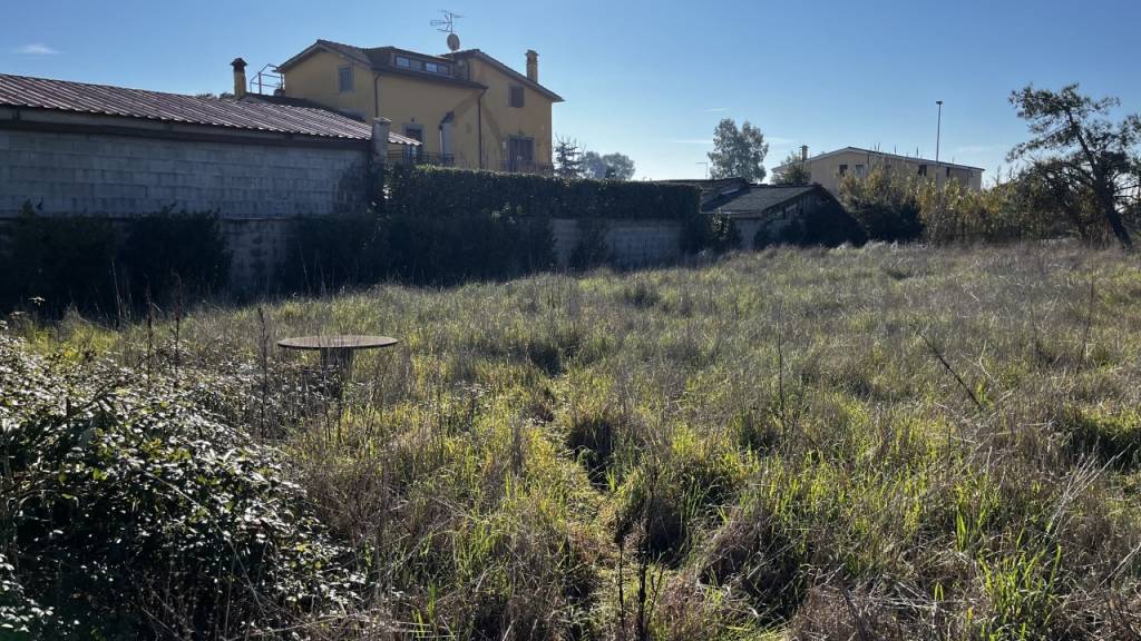 immagine annuncio 6 di 8