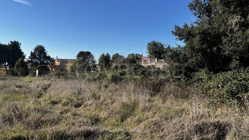 immagine annuncio 7 di 8