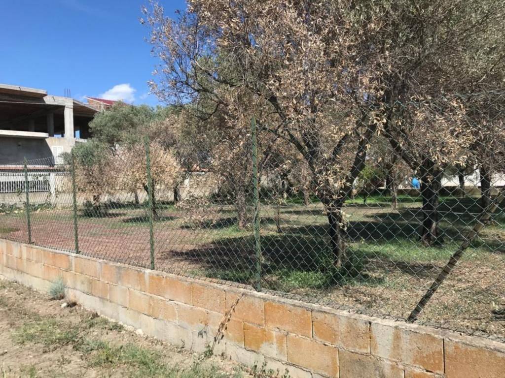 Terreno Residenziale in vendita a Siderno via Pellegrina s.n.c