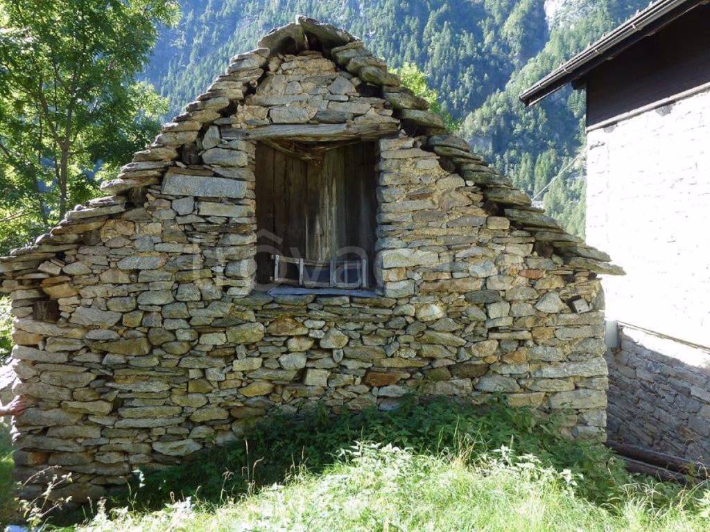 immagine annuncio 4 di 7