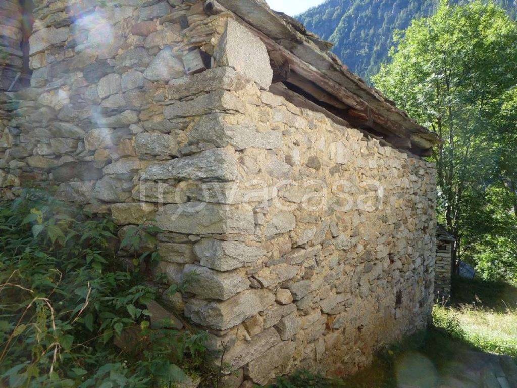 immagine annuncio 5 di 7