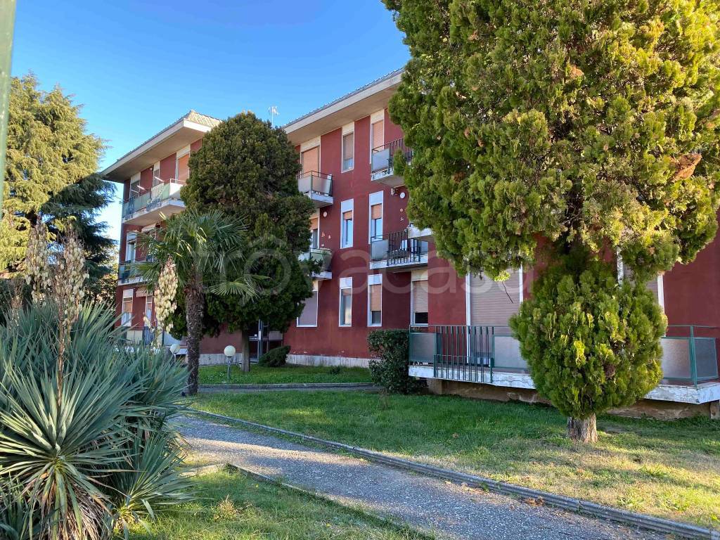 Appartamento in vendita a Borgolavezzaro via Tornaco, 8