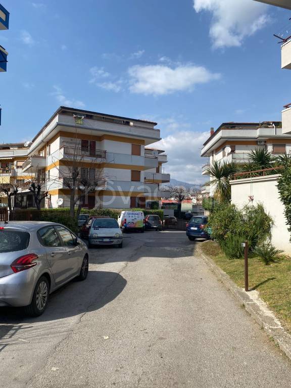 immagine annuncio 1 di 6
