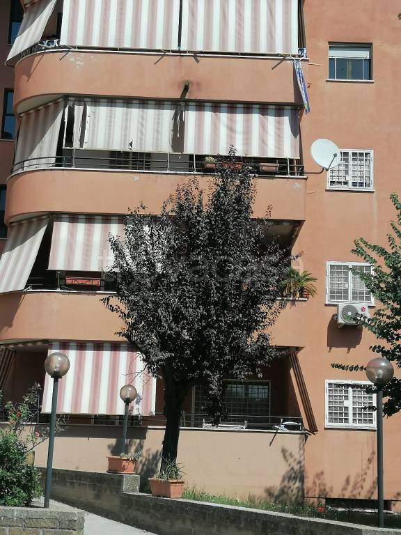 Appartamento in in vendita da privato a Roma via San Giovanni in Argentella