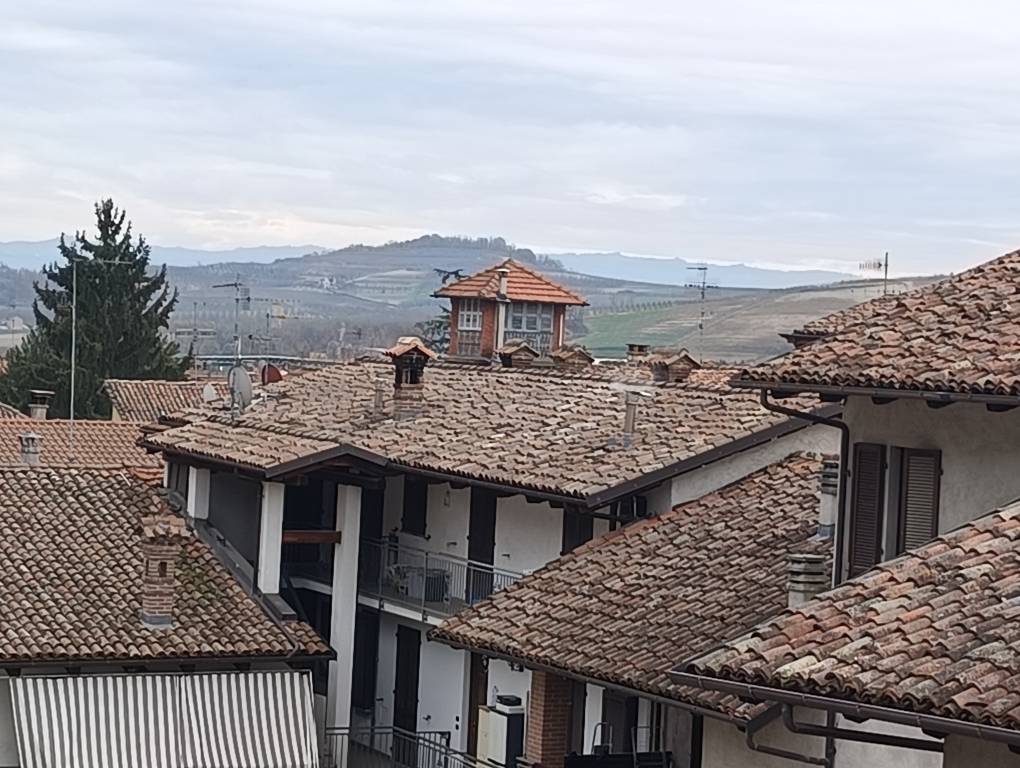 immagine annuncio 12 di 13