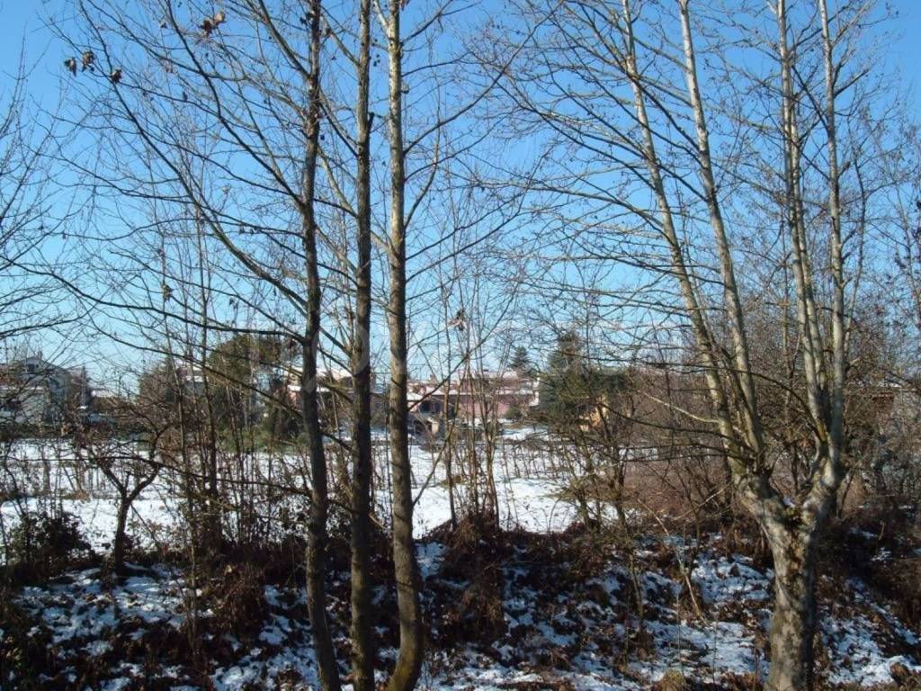 immagine annuncio 1 di 2