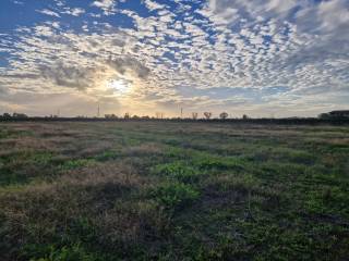 Terreno agricolo in vendita a latina via appia