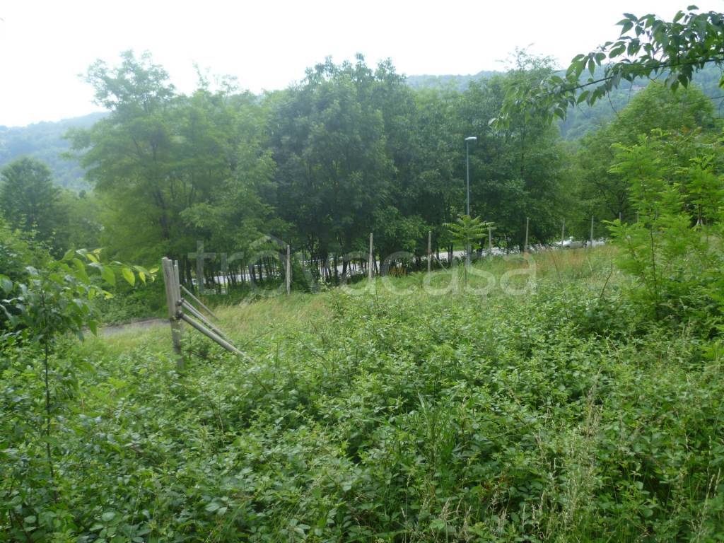 immagine annuncio 1 di 3