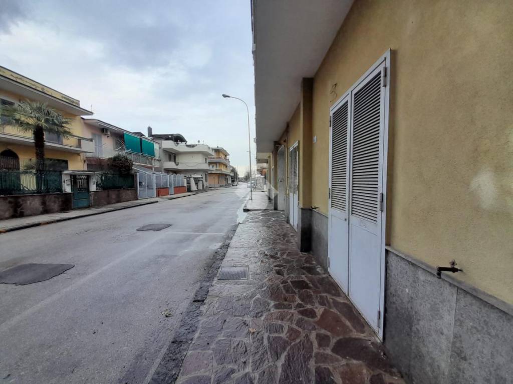 immagine annuncio 5 di 11