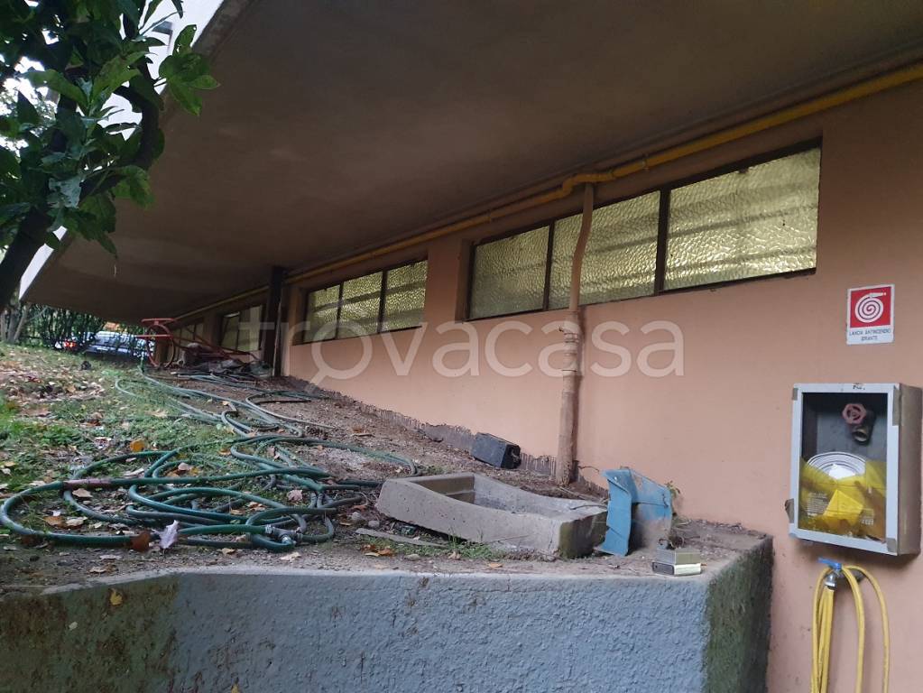 immagine annuncio 1 di 6