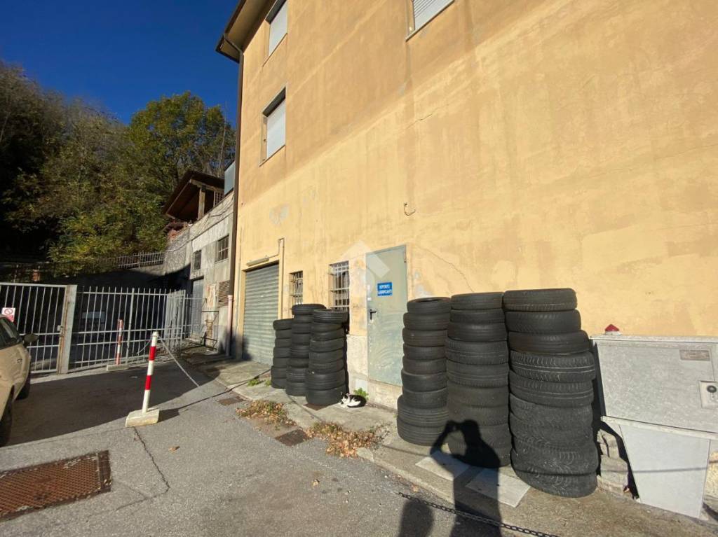 immagine annuncio 10 di 14