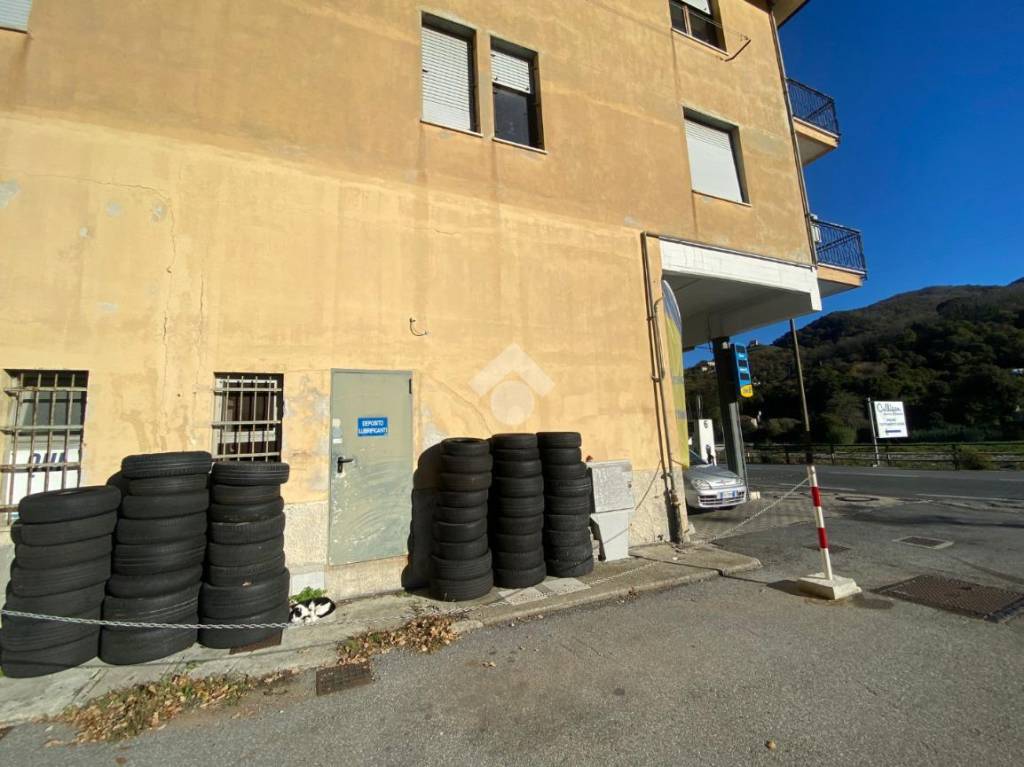 immagine annuncio 12 di 14