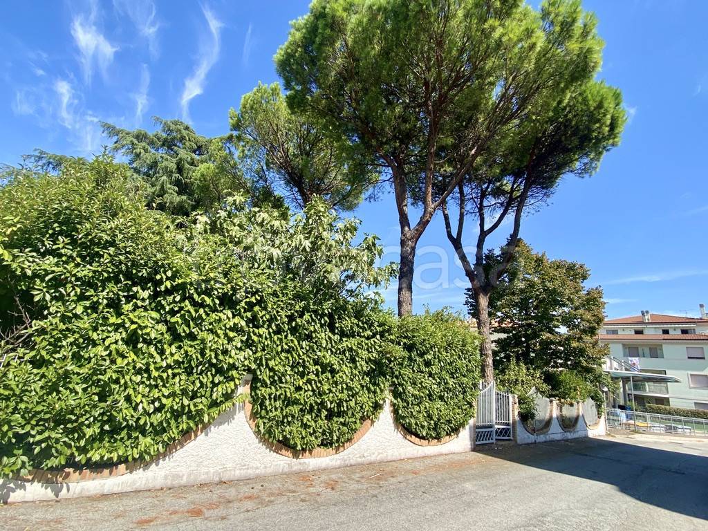 immagine annuncio 4 di 6