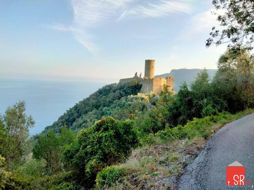 immagine annuncio 7 di 13