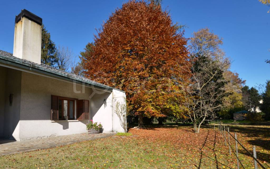 immagine annuncio 7 di 11