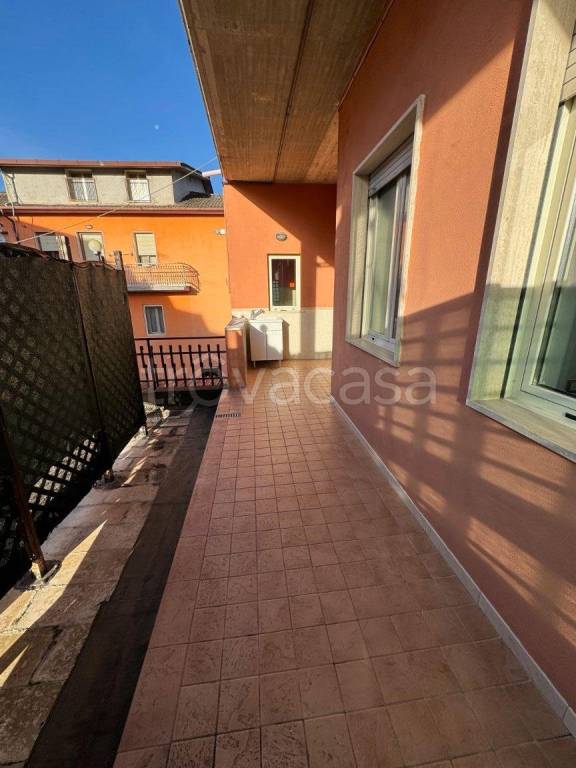 immagine annuncio 12 di 14