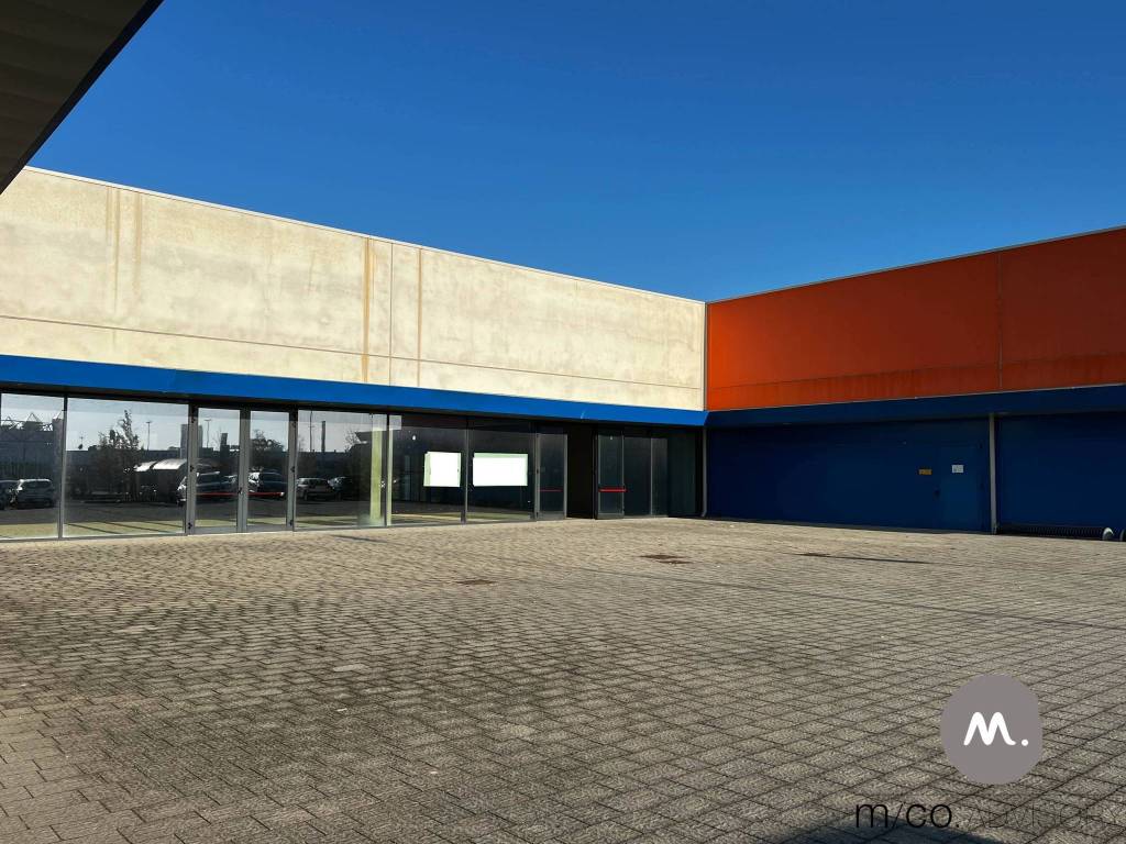 immagine annuncio 9 di 15