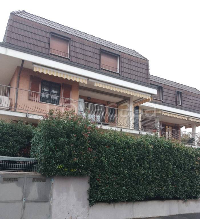 immagine annuncio 2 di 4