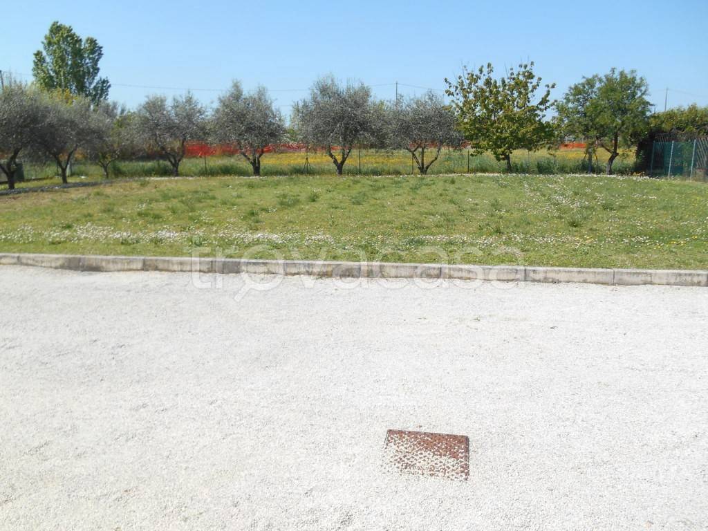 immagine annuncio 2 di 4