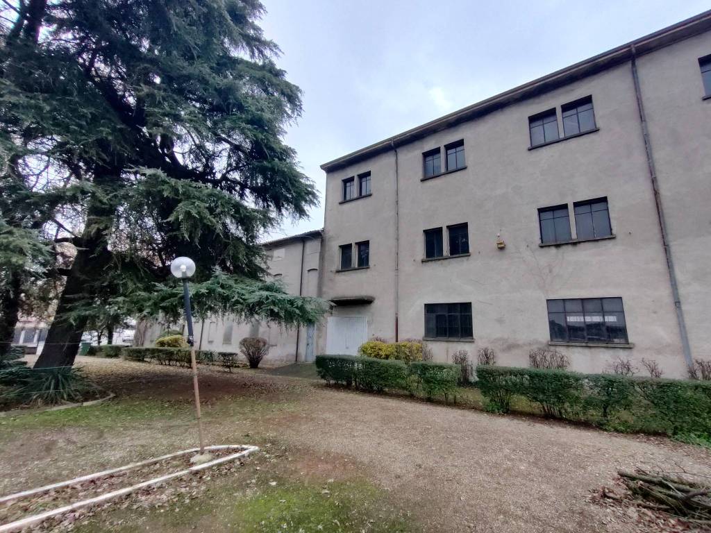 immagine annuncio 1 di 11