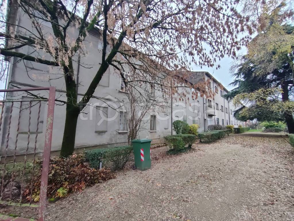 immagine annuncio 3 di 11